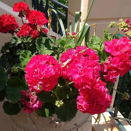 Maisonette On The With Small Garden 펜션
