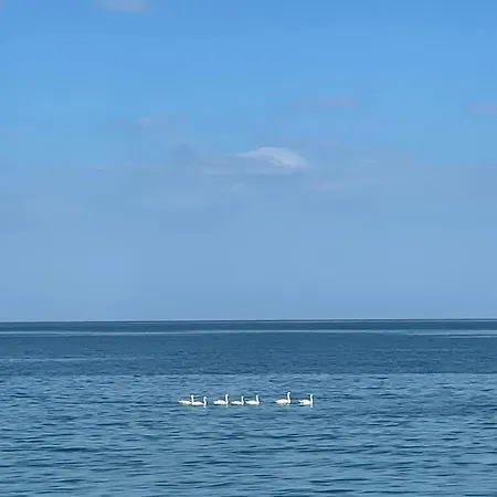 Maisonette On The With Small Garden Casa vacanze *