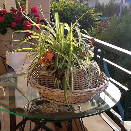 펜션 Maisonette On The With Small Garden 아기아캄포스
