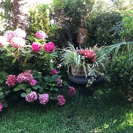 Maisonette On The With Small Garden 펜션 *