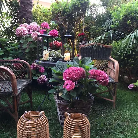 Maisonette On The With Small Garden *