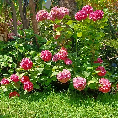 Maisonette On The With Small Garden Casa vacanze