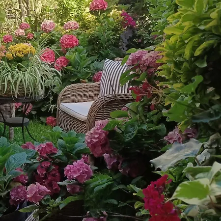 Maisonette On The With Small Garden Case de vacanță