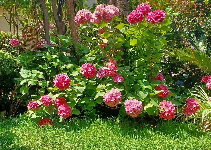 Maisonette On The With Small Garden Holiday home